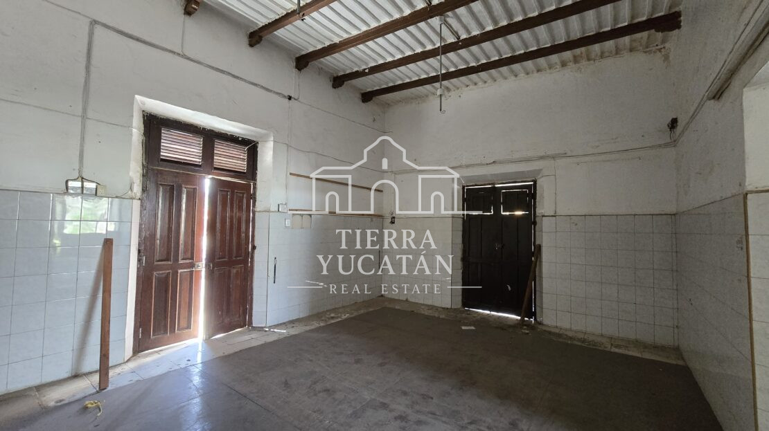 video image